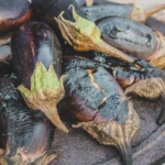 Grilled Eggplant